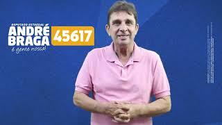 Deputado Estadual André Braga 45617 - Porto Ferreira