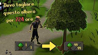 Ho più di 2500 ORE in questo simulatore medievale online | Old School RuneScape