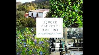 17. Liquore di mirto di Sardegna, la magia della natura.