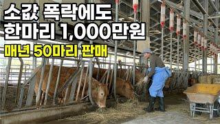 상위 0.1% 성적, 한우 농장의 경영 방식 (한길농장 서영봉 대표)