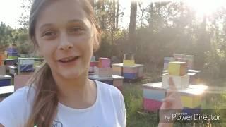 Vdovichenko Bee Farm