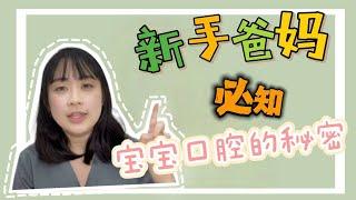 【新手爸妈必知 · 宝宝口腔的秘密】