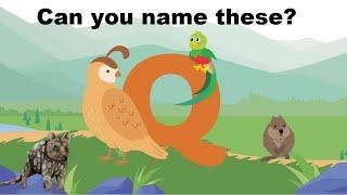 Animal Adventures with the Letter Q | Alphabet Learning | Brainy Whiz Learning