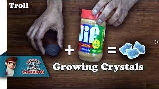 Growing Crystals with Peanut Butter and Coal (Troll Video)