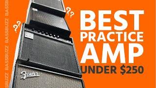 Best Beginner Bass Amp (Group Review)