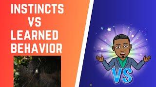 Instincts vs  Learned Behavior