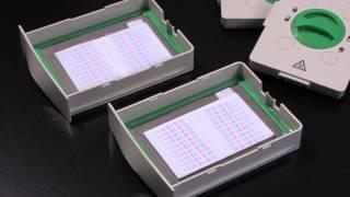 Protein Blotting Using the Trans-Blot® Turbo™ Transfer System