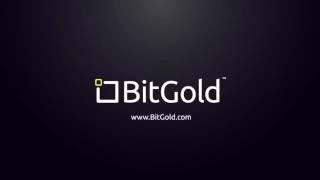 BitGold  vs  Bitcoin