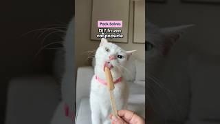 DIY Frozen Cat Popsicles | The Pack