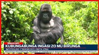 #KwitaIzina: Amasaha asigaye arabarirwa ku ntoki