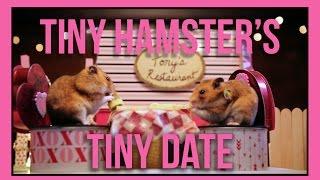 Ep. 5: Tiny Hamster's Tiny Date - Valentine's Day Edition