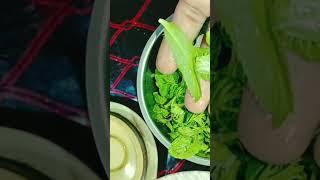 Green chutney recipe @Amita's vlogs