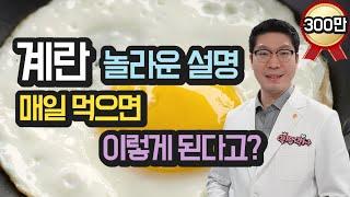 계란 달걀의 모든 설명 - 매일 먹으면 어떤 일이 생기는지 - 계란요리 효과와 주의사항