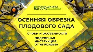 Обрезка яблони осенью для начинающих: пошагово и в деталях