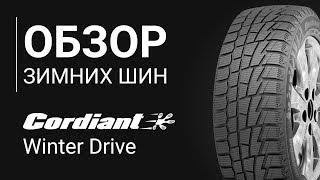 ОБЗОР ЗИМНЕЙ ШИНЫ CORDIANT Winter Drive | REZINA.CC