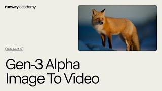 Image to Video with Gen-3 Alpha | Runway Academy