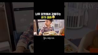 너무 의젓해서 감동 주는 아가 태하