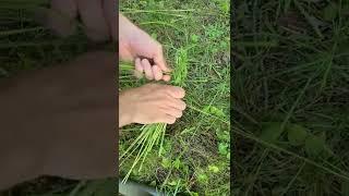 Making Rope out of Grass