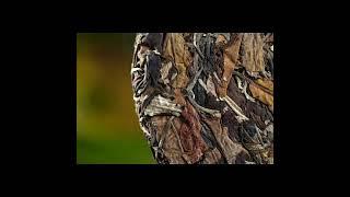 보이차.직영생산.완벽한 식약청 검사.오직 자체생산 제품만 공급.도매문의1551-2235