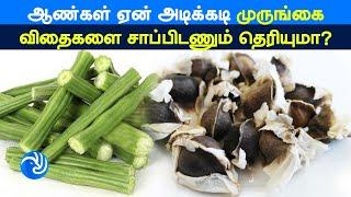 Amazing Health Benefits of Drumstick/Moringa Seeds for Men - Tamil TV