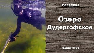 Дудергофское озеро. Подводная охота в Ленинградской области. гидрокостюмы HAMMERFISH