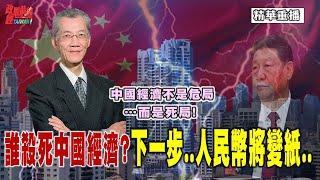 [0315精華重播]明居正老師:誰殺死中國經濟? 無錨印鈔下一步 人民幣恐成紙? 中國經濟不是危局 已是死局! 中產階級返貧 韭菜錢愈存愈薄...@democratictaiwanchannel