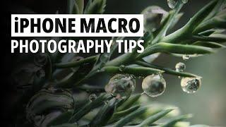 Master iPhone Macro Photography