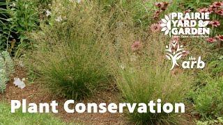 Plant Conservation | Ask the Arboretum Experts