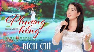 Phượng Hồng - Bích Chi (MV HD) Bài hát mới nhất hôm nay