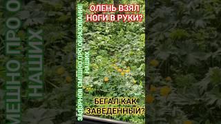 Этот СТАРИКАН? #смех #юмор #здоровье #честь #удачи #мудрость #задорнов #деньги #мир