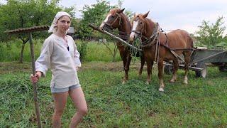 Hard life in a village. Mowing with scythe for horses. Cooking wonderful lunch with zucchini