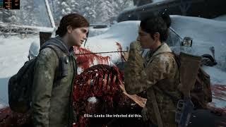The Last Of Us Part II PC Gameplay 1440p Max Settings (READ DESCRIPTION)