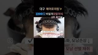 모발이식 Before & After2주 경과ㅣ헤어로의원 대구점ㅣ