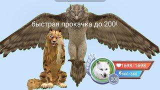 быстрая прокачка до 200!!//как быстро прокачаться wild craft 