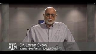 Decoding Life: Biomedical Genomics