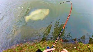 You WON’T BELIEVE what this GIANT BASS WAS CAUGHT ON!!