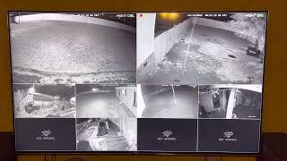 Nightowl wireless camera 2 month update!