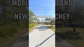 Mobile home lot in Florida for $14250. #realestate #florida #miami #tampa #land #investing #short