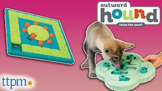 Puppies Review Nina Ottosson Treat Puzzles from Outward Hound!