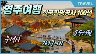 선비의 고장 영주에서 느림의 미학 후회없는 경북 영주 추천 여행지 3곳  #영주여행, #부석사, #소수서원, #외나무다리