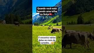  Encontrei as famosas nos Alpes Suíços #humorbrasil #suíça #alpessuiços