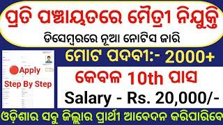 Odisha Panchayat Maitri Recruitment 2024/Odisha 10th Pass Govt Jobs/Odisha Govt Job Vacancy 2024