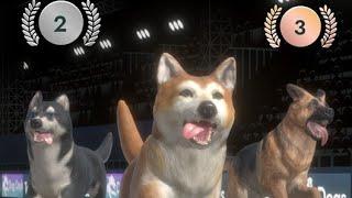 Top Dogs: Best in Show Nurture, Train & Compete! Landmark Games HD iOS GAMEPLAY