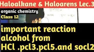 organic chemistry ️//Haloalkan & Haloarens /Lec3 important reactions class 12