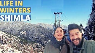 Snowfall in Shimla 2022 | Life in Shimla in Winters | Trek to Office in Snow | Viketan's Paradise