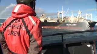 Bob Barker Encounter with Yushin Maru 2 Attempting to Transfer Poached Whale to Nisshin Maru