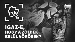 Igaz-e hogy a zöldek belül vörösek? | Miért nem szeretjük a zöldeket?