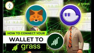 How To Connect Your Wallet To Grass | Crypto Sprout HQ