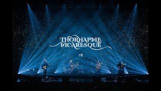 THORNAPPLE - 'February' Concert Live Ver.