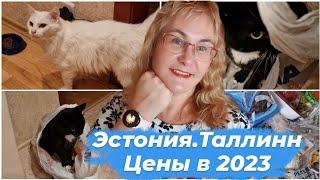 Эстония сколько стоит жить 2023.Обзор продуктов.Цены в Эстонии на продукты.Дорого ли жить в Таллинне